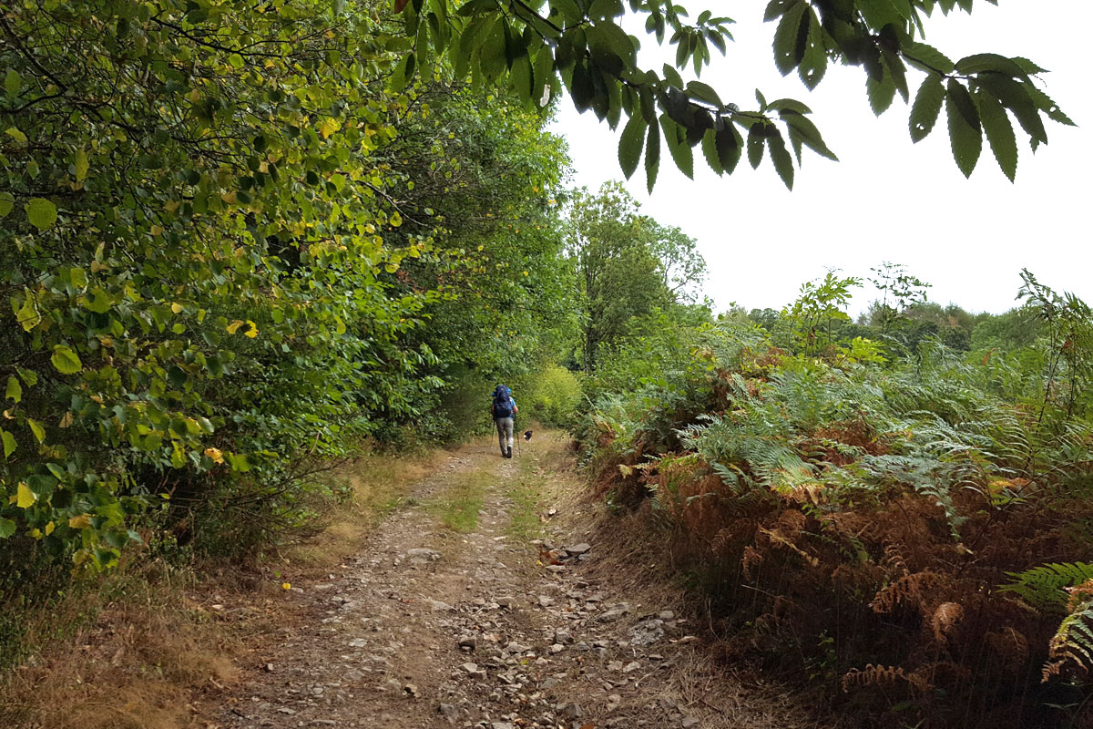 Randonnée dans le Morvan